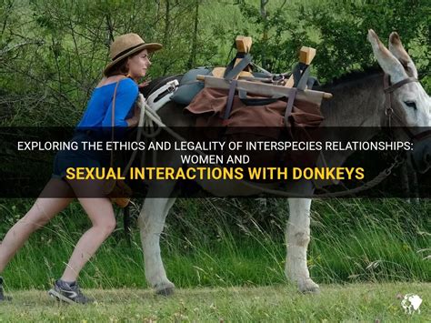 sex donkey with women